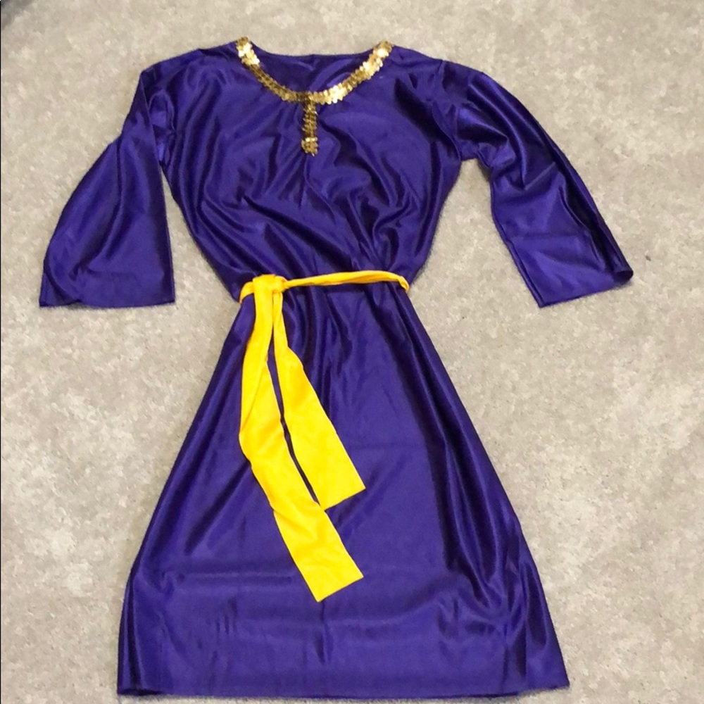 Renaissance Princess Costume Halloween Size Medium 8-10 Child